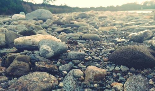 Pebbles on beach against sky