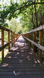 View of footbridge in forest