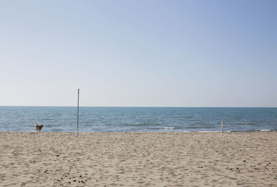 Scenic view of beach against clear sky