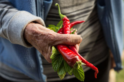 Midsection of person holding red chili peppers and mint leaves