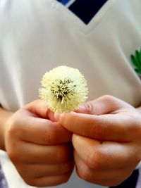 Close-up of hand holding white flowering plant