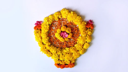 Close-up of yellow flower against white background