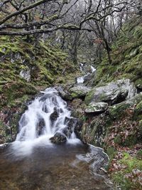 Stream flowing through rocks in forest