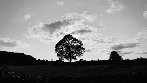 Silhouette trees on field against sky