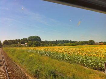 Scenic view of field against cloudy sky