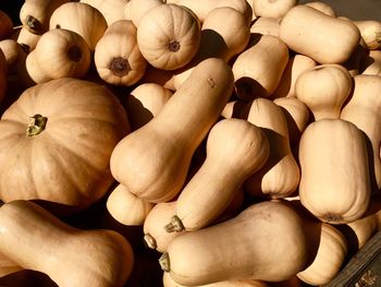 Full frame shot of pumpkins for sale at market stall