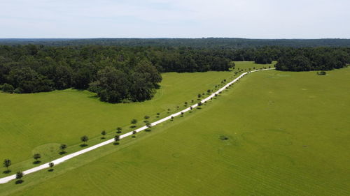 High angle view of trees on field against sky