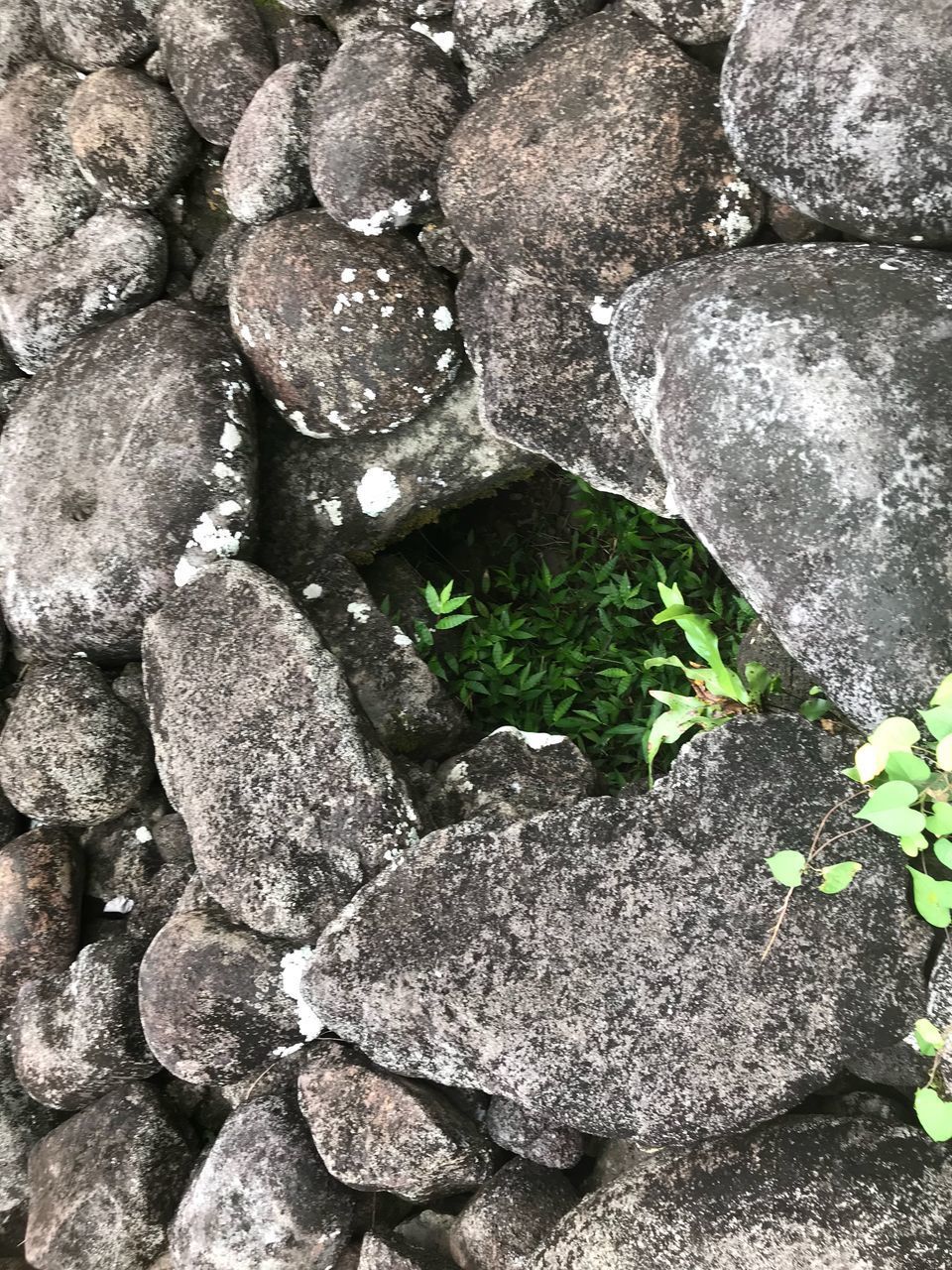 HIGH ANGLE VIEW OF STONES ON ROCKS