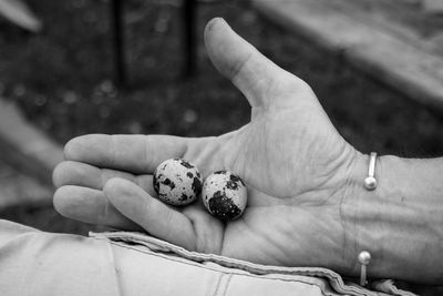 Cropped hand holding eggs