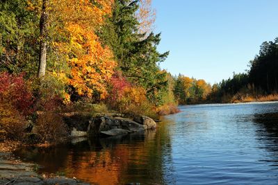 Scenic view of lake against clear sky during autumn