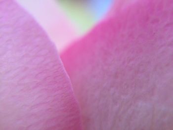 pink color
