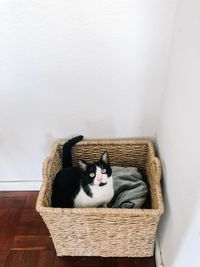 Portrait of cat relaxing in basket at home