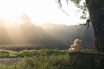 Stuffed toy on field against sky