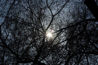Low angle view of bare trees against sky
