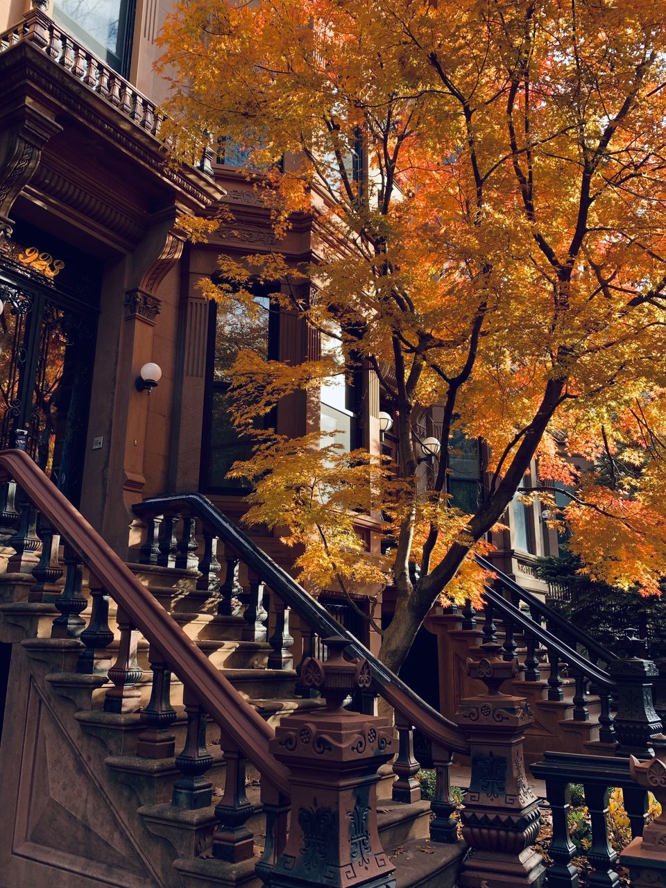 autumn, architecture, tree, built structure, plant, building exterior, nature, railing, no people, building, staircase, outdoors, city, day, orange color, evening, branch, plant part, leaf, steps and staircases, beauty in nature