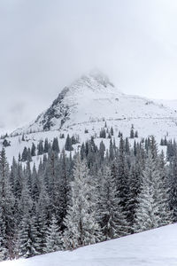 Scenic view of snow covered mountains against sky