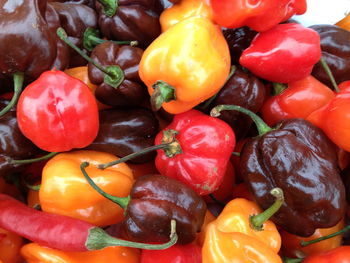 Full frame shot of bell peppers at market