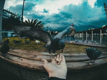 Birds perching on statue against sky