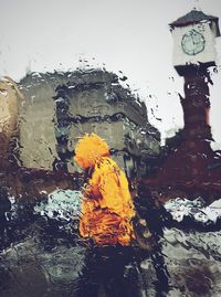 Close-up of wet yellow flowers