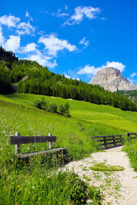 Nice footpath at colfosco with the view of sassongher in the puez-odle natural park in val badia