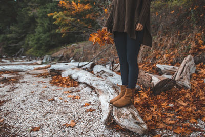 Low section of woman standing on wood by autumn leaves