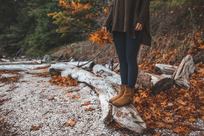 Low section of person standing on autumn leaves