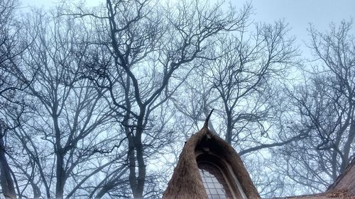 Low angle view of bare trees against sky