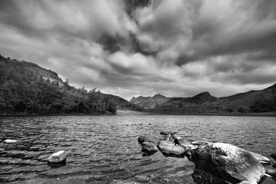 View of birds in lake against cloudy sky
