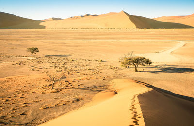 Scenic view of desert against sky