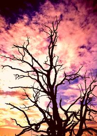 Low angle view of tree against dramatic sky