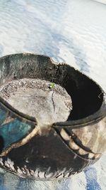 High angle view of turtle in water