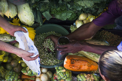 People buying fruits, vegetables, vegetables and spices at the camacari open market in bahia, brazil