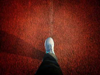 Low section of man standing on red road