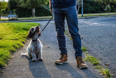 Low section of person with dog on road