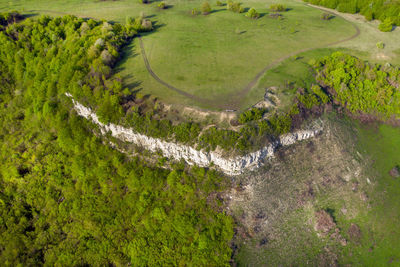 Aerial view of limestone cliffs and green forest in the spring. geological formation in romania