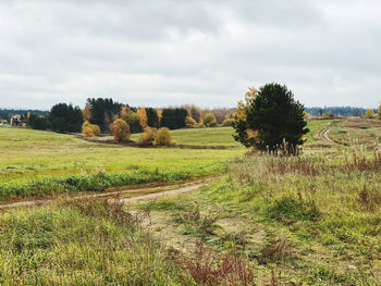 Trees on field against sky