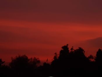 Silhouette trees against sky during sunset