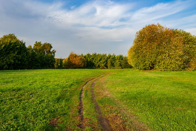 Scenic view of field against sky