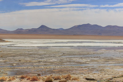 Scenic view of desert against sky