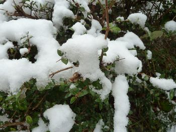 Close-up of frozen snow