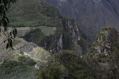 High angle view of trees on mountain