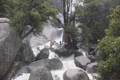 Scenic view of waterfall in forest