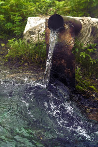 Water flowing through rocks in the forest