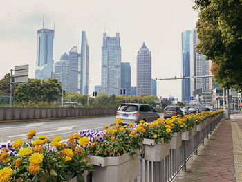 View of flowering plants by buildings in city