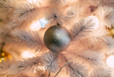 Close-up of christmas decorations