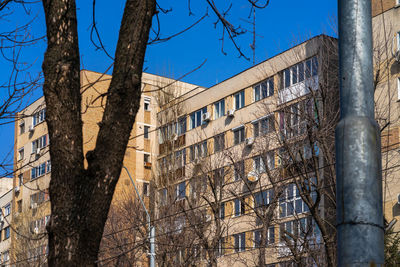 Low angle view of tree by building against sky