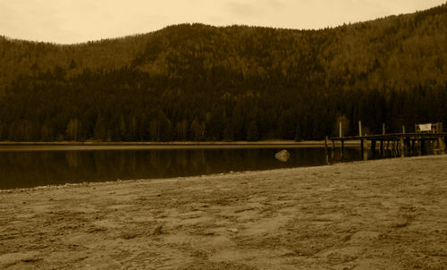 Scenic view of lake by trees against sky