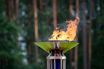 Close-up of fire on wood against trees