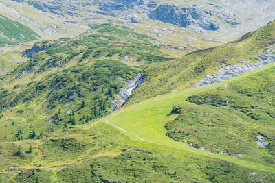 Scenic view of green landscape against