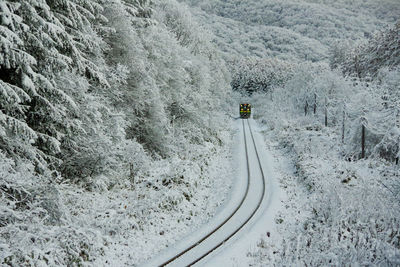 Railroad amidst snow covered tree and land